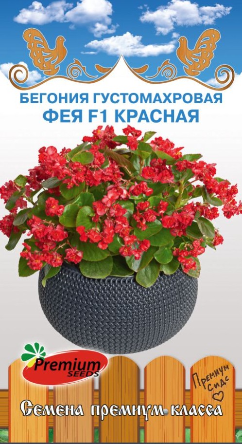 Бегония_Фея F1 Красная (густомахровая вечноцв)_5_шт._Премиум Сидс