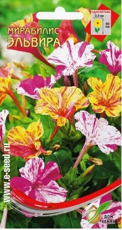 Мирабилис_Эльвира см_7_шт._Дом Семян С-П