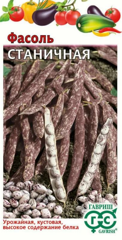 Фасоль_Станичная (куст зерновая пёстрая)_0,04_г._Гавриш