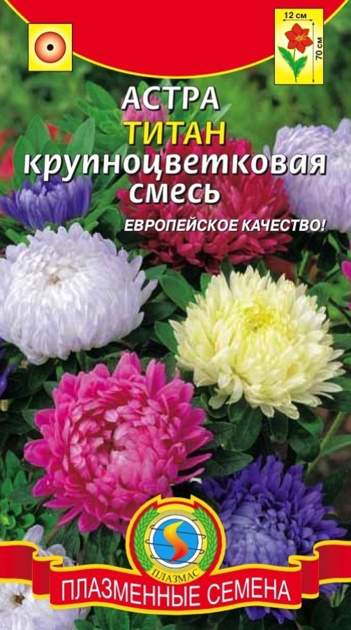 Астра_Титан см_0,3_г._Плазменные семена