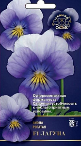 Фиалка_Лагуна F1 (рогатая, бело/темно-сиренев с ярко-желт глазком)_0,04_шт._Седек
