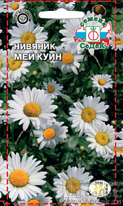 Нивяник_Мей Куин_0,2_г._Седек