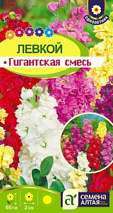 Левкой (маттиола)_Гигантская см_0,2_г._Семена Алтая