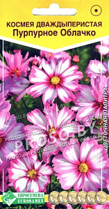 Космея_Пурпурное Облачко (Цветочная Палитра)_0,04_г._ЕВРОСЕМЕНА