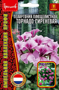 Герань (Пеларгония)_Торнадо Сиреневая (плющелистная) б/ф_3_шт._Григорьев