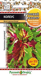 Колеус_Русский размер_4_шт._НК