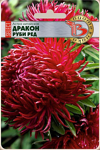Астра_Дракон Селект Руби Ред (хризантемовидная)_30_шт._Биотехника