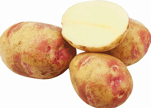 Пикассо репродукция ( сетка 2кг ) кг