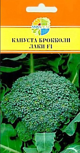 Капуста_брокколи_Лаки F1_15_шт._Акварель