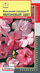 Бальзамин_Яблоневый Цвет F1 махр (Уоллера)_0,04_шт._Плазменные семена