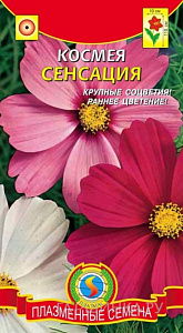 Космея_Сенсация см  Б/П_0,4_г._Плазменные семена