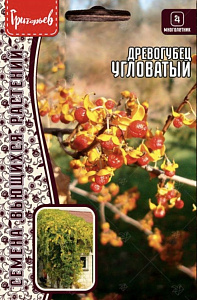 Древогубец_Угловатый б/ф_25_шт._Григорьев