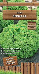 Салат_Прима 20 (п/кочан) (Декоративный огород)_1_г._Поиск