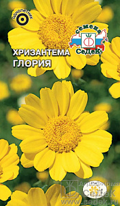 Хризантема_Глория_0,5_г._Седек