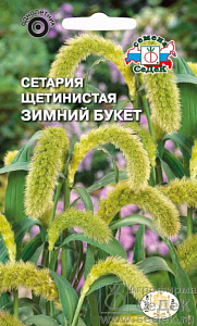 Сетария_Щетинник Зимний букет (злак)_0,5_г._Седек