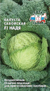 Капуста_савойская_Надя F1 (позд)_1_г._Седек