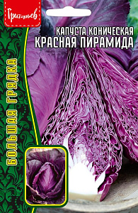 Капуста_кр/к_Красная Пирамида (коническая) б/ф_0,2_г._Григорьев