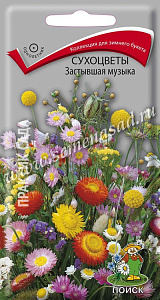 Смесь_Сухоцветы Застывшая музыка_0,3_г._Поиск