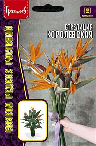 Стрелиция_Королевская б/ф_3_шт._Григорьев