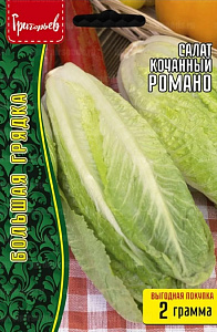 Салат_Романо (кочан) б/ф_2_г._Григорьев