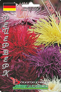 Астра_Валькирия Фейерверк см (игольчатая)_100_шт._Биотехника