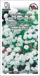 Ахиллея (тысячелистник)_Жемчужина (махр)_0,1_г._Золотая Сотка Алтая