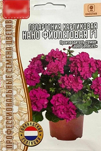 Герань (Пеларгония)_Нано F1 Фиолетовая (карликовая) б/ф_3_шт._Григорьев