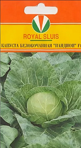 Капуста_б/к_Пандион F1_20_шт._Акварель