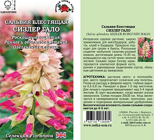 Сальвия_Сизлер Гало_10_шт._Золотая Сотка Алтая