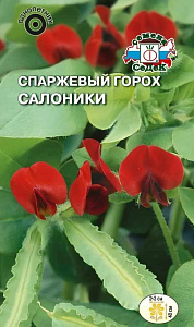 Горох_Салоники (спаржевый)_0,04_г._Седек