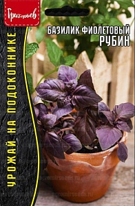 Базилик_Рубин (фиолетовый) б/ф_0,5_г._Григорьев