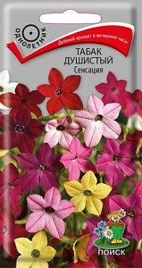 Табак душистый_Сенсация см_0,04_г._Поиск