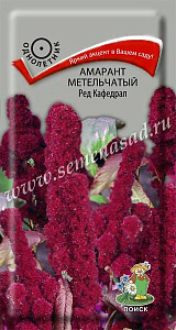 Амарант_Ред Кафедрал (метельчатый)_0,1_г._Поиск