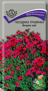 Гвоздика_Флэшинг Лайт_0,04_г._Поиск