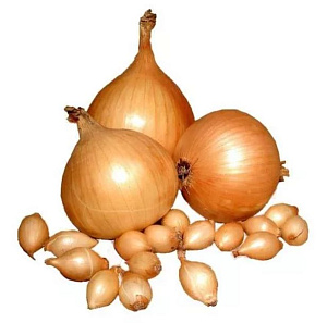 ШТУТГАРТЕР 14-21 мм