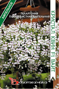 Герань (Пеларгония)_Квин F1 Вайт (амп плющелистная)_5_шт._Биотехника