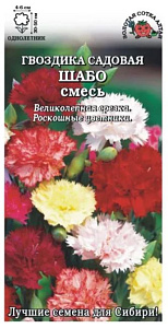Гвоздика_Шабо см_0,04_г._Золотая Сотка Алтая
