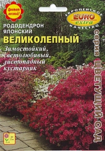Рододендрон_Великолепный японский б/ф_0_г._Аэлита Э