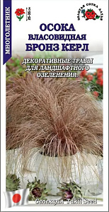 Осока_Бронз Керл (власовидная злак)_5_шт._Золотая Сотка Алтая