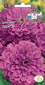 Цинния_Эдита (георгиновидная, розово-лавандовая)_0,5_г._Седек