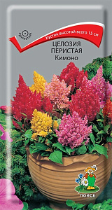 Целозия_Кимоно см (перистая)_0,1_г._Поиск