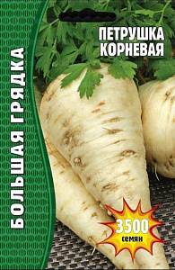 Петрушка_Корневая б/ф_3500_шт._Григорьев