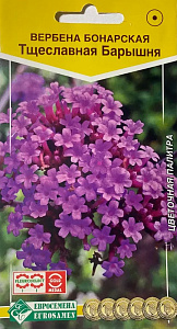 Вербена_Тщеславная Барышня (бонарская) (Цветочная Палитра)_5_шт._ЕВРОСЕМЕНА