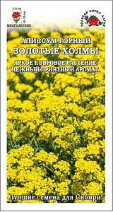 Алиссум (лобулярия)_Золотые Холмы (горный)_0,05_г._Золотая Сотка Алтая