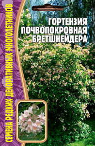 Гортензия_Почвопокровная Бретшнейдера б/ф_20_шт._Григорьев