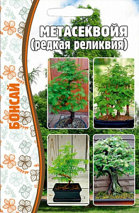 Метасеквойя_Реликвия б/ф_10_шт._Григорьев