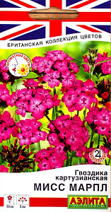 Гвоздика_Мисс Марпл (картузианская) (Британская Коллекция)_0,05_г._Аэлита