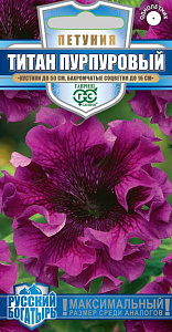 Глоксиния_Импресс Блю Пикоти_5_шт._Поиск