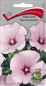 Лаватера (хатьма)_Красотка розовая_0,3_г._Поиск