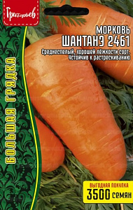 Морковь_Шантане 2461 б/ф_3500_шт._Григорьев